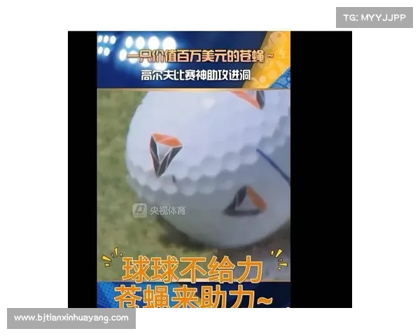 苍蝇意外助力高尔夫球员缓缓推球入洞一举赢得91万美元 苍蝇意外助力高尔夫球员缓缓推球入洞一举赢得91万美元